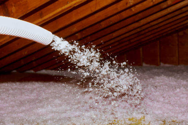 Best Blown-in Insulation  in Dyer, IN
