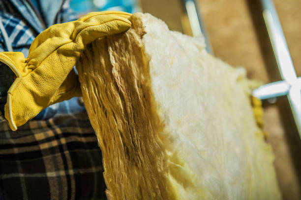 Best Soundproof Insulation Installation  in Dyer, IN